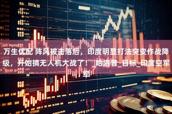 万生优配 阵风被击落后，印度明显打法突变作战降级，开始搞无人机大战了！_哈洛普_目标_印度空军