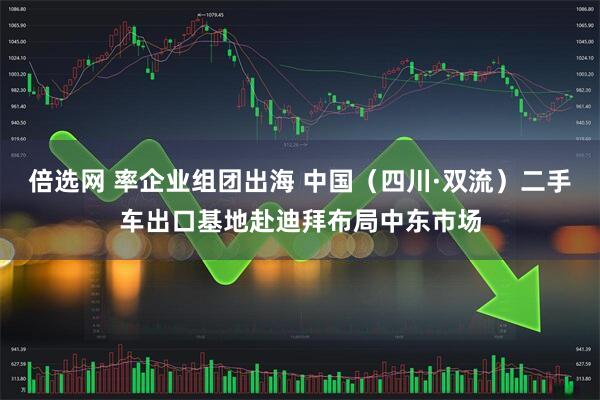倍选网 率企业组团出海 中国（四川·双流）二手车出口基地赴迪拜布局中东市场