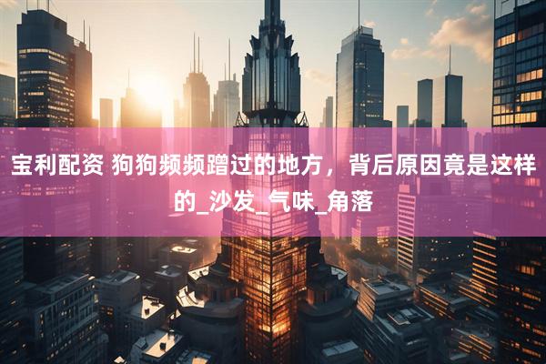 宝利配资 狗狗频频蹭过的地方，背后原因竟是这样的_沙发_气味_角落