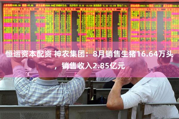 恒运资本配资 神农集团：8月销售生猪16.64万头，销售收入2.85亿元